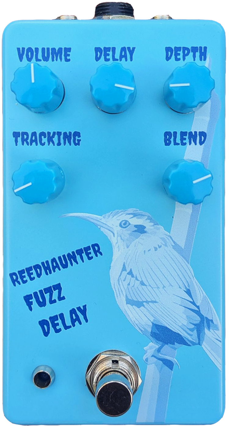 Reedhaunter Fuzz Delay