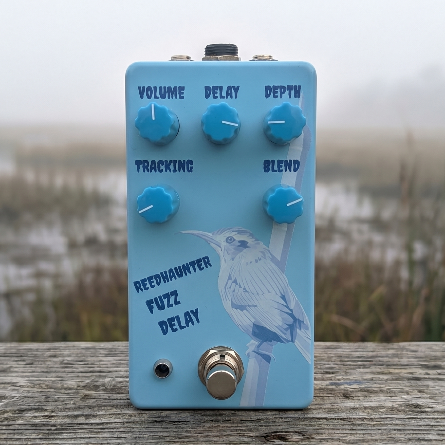 Reedhaunter Fuzz Delay — In the wild